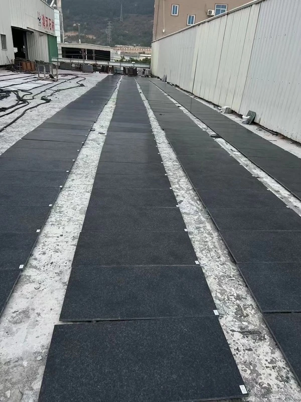 product-600-800 product-600-800
